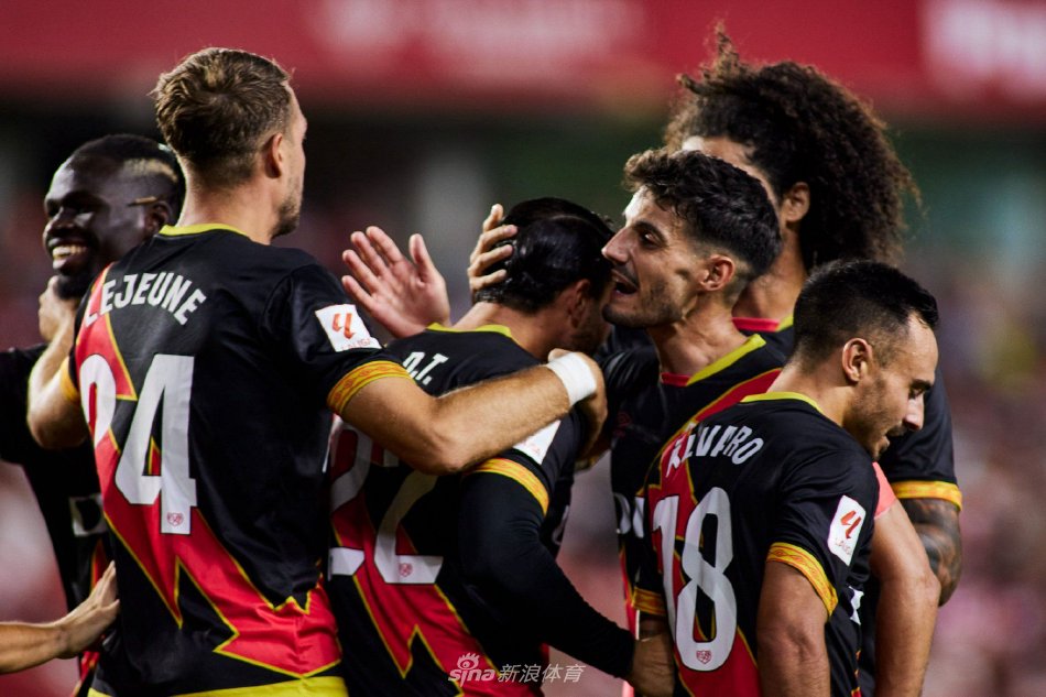 队整体实力 队整体实力